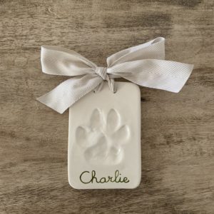 Charlie paw print clear with army cursive writhing